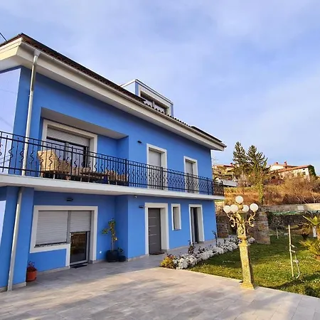 Azul * Kojsko